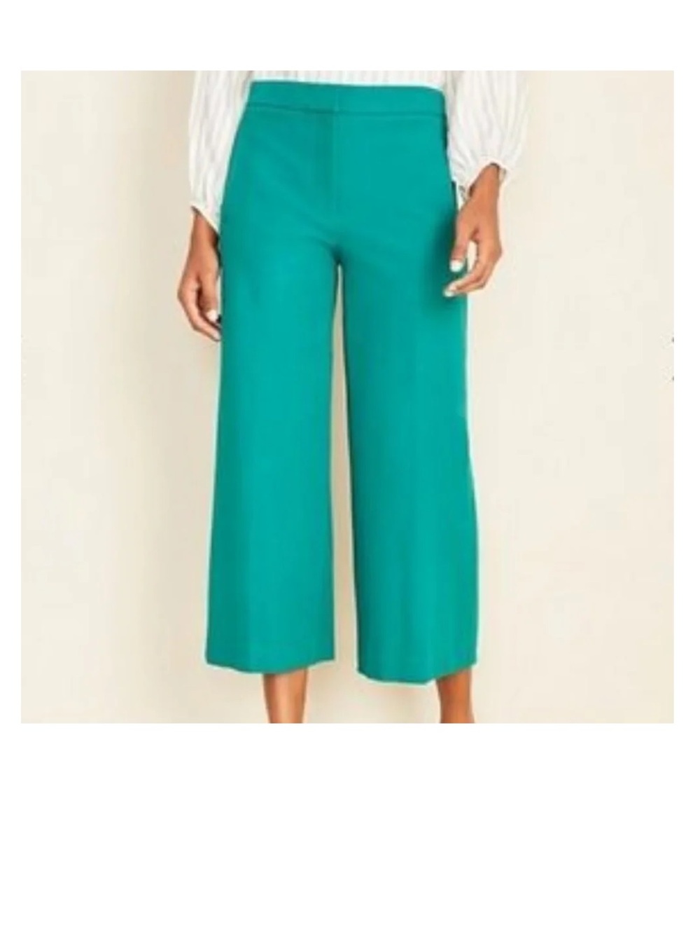 Ann Taylor The Marina High Rise Wide Leg Cropped Pants - Petite 8